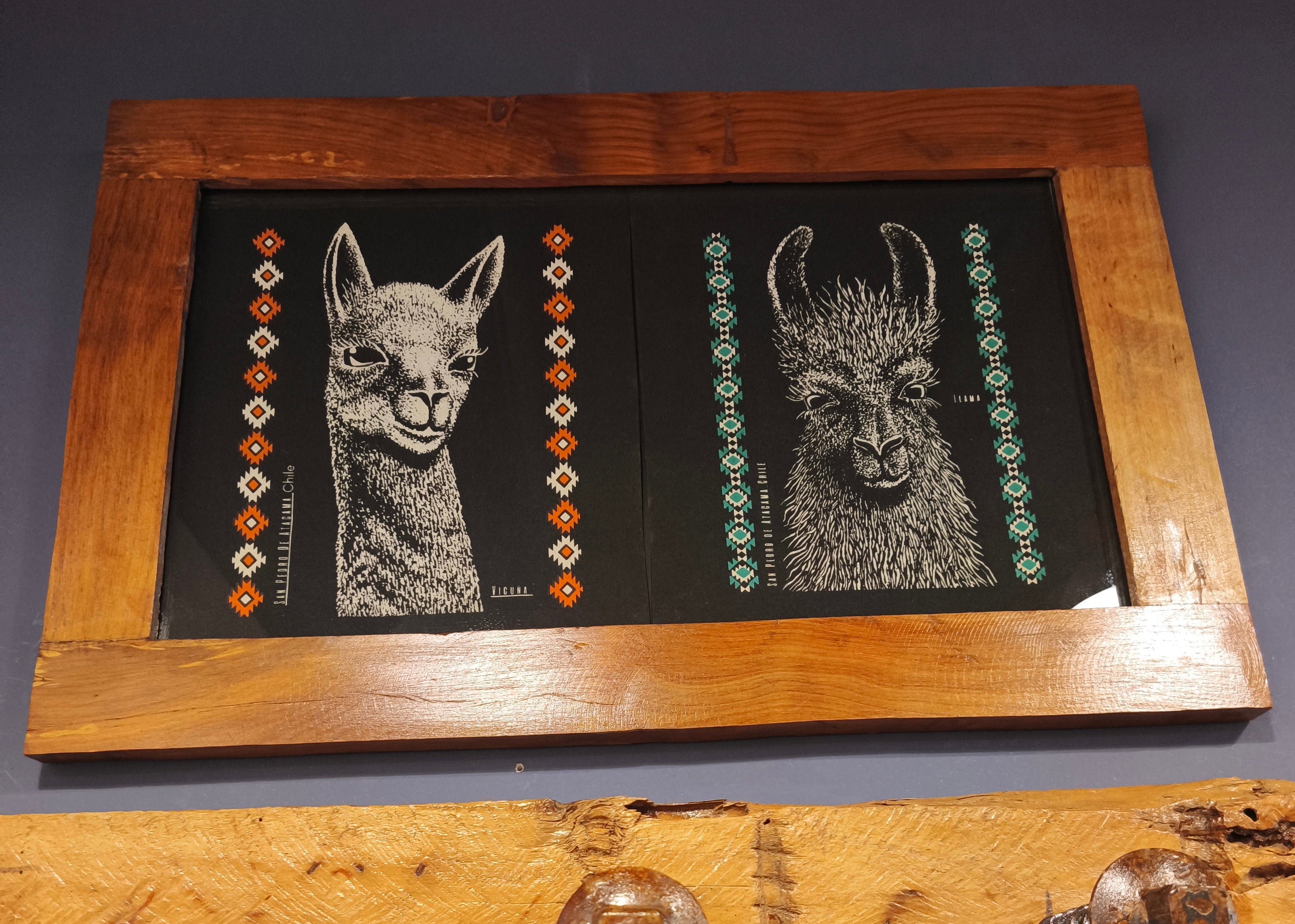 Cuadro "Vicuña y Llama" en Serigrafía - Arte Relmu