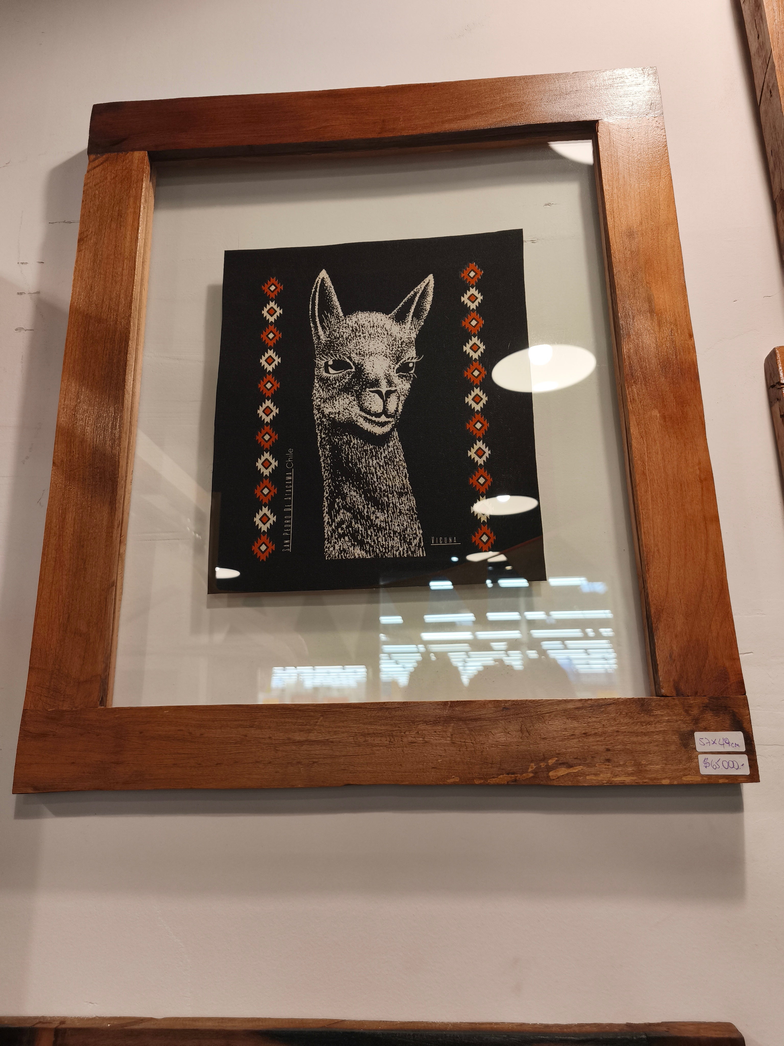 Cuadro "Vicuña" en Serigrafía (Diseño Flotante) – Arte Relmu